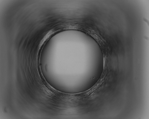 X0000091970195200709061139