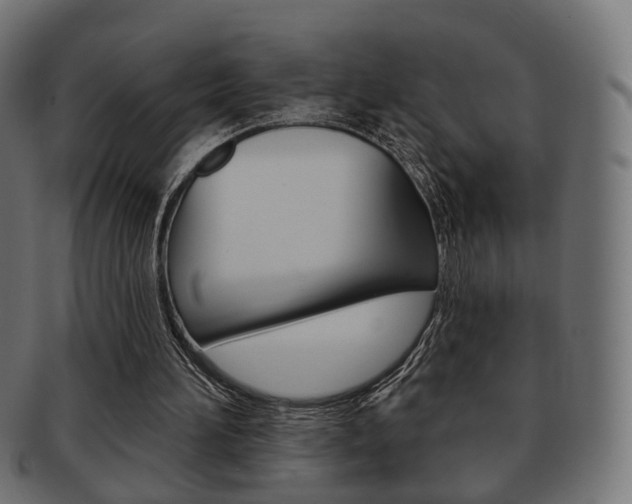 X0000091970196200709061139