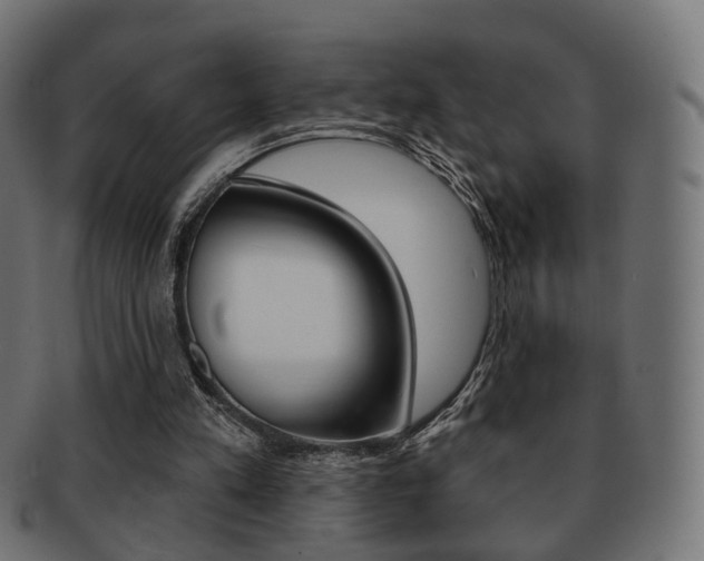 X0000091970197200709061139