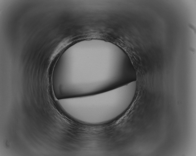 X0000091970198200709061139