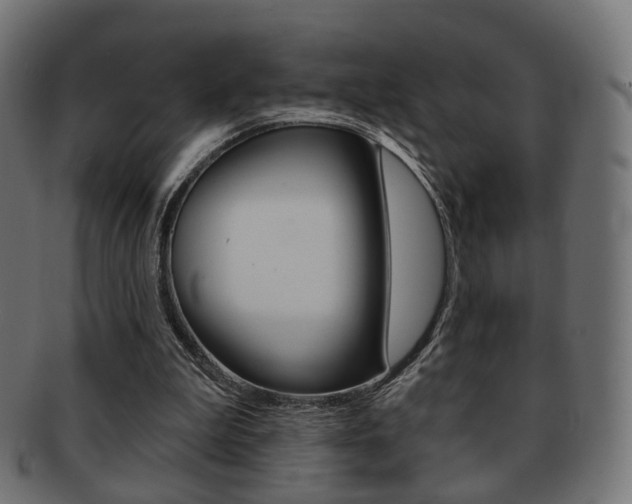 X0000091970199200709061139