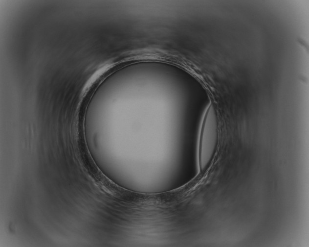 X0000091970200200709061139