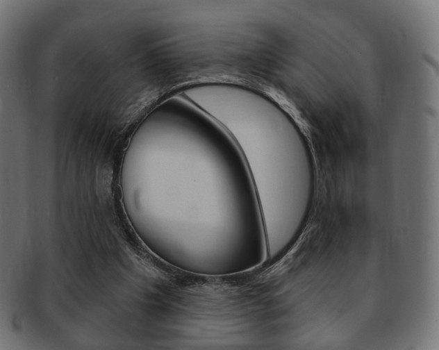 X0000091970201200709061139