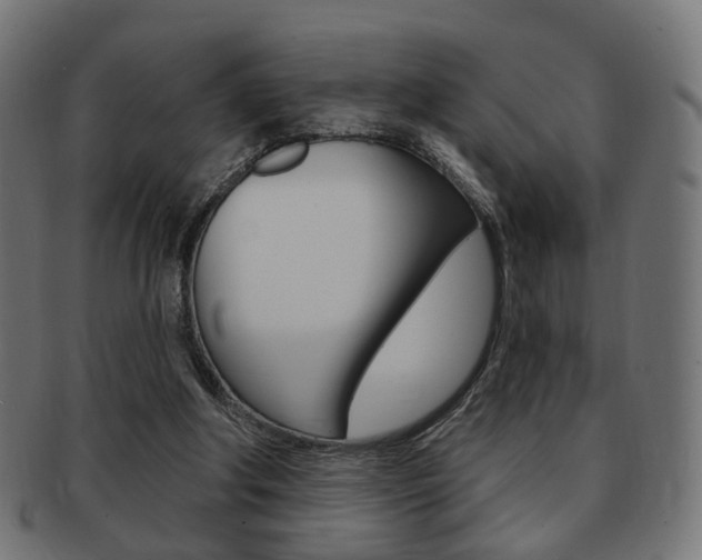 X0000091970202200709061139