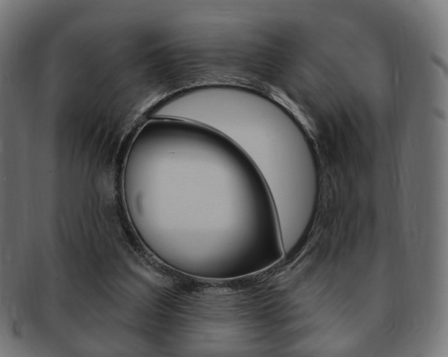 X0000091970203200709061139