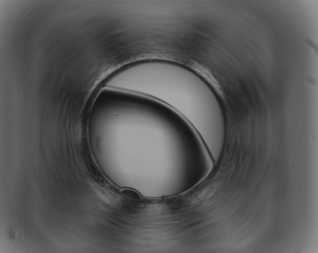 X0000091970204200709061139
