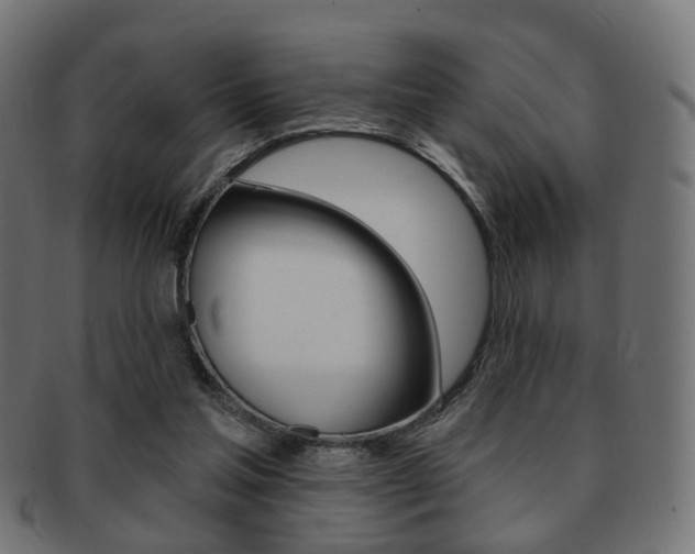 X0000091970205200709061139