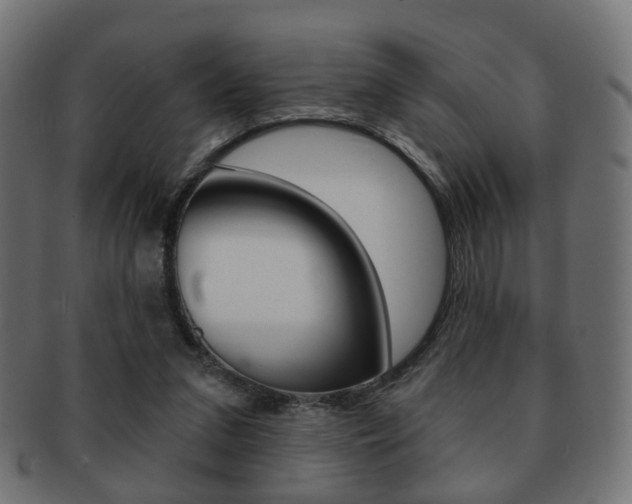 X0000091970207200709061139