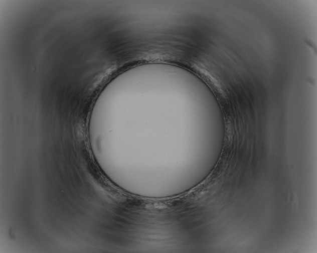 X0000091970208200709061139