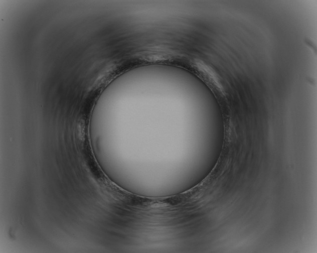 X0000091970210200709061138