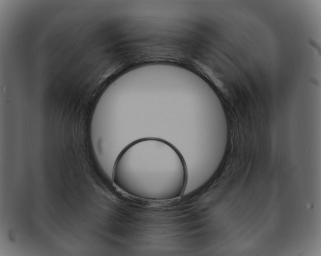 X0000091970211200709061138