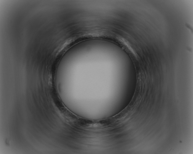 X0000091970212200709061138