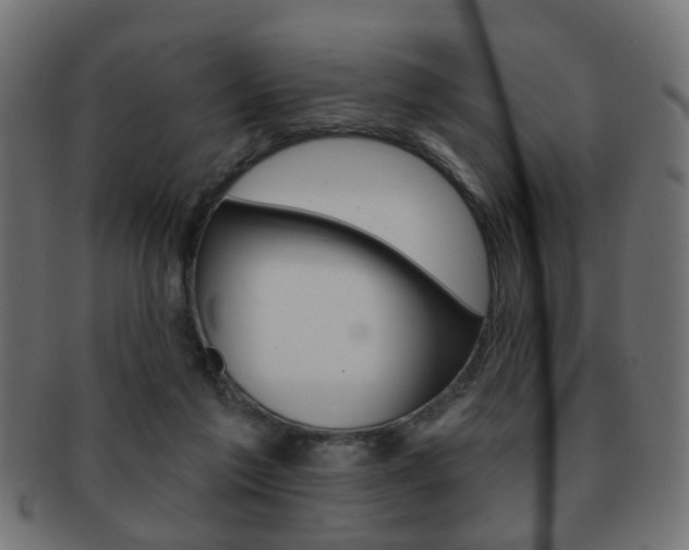 X0000091970213200709061138