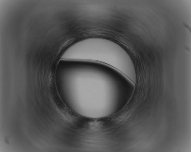 X0000091970216200709061138