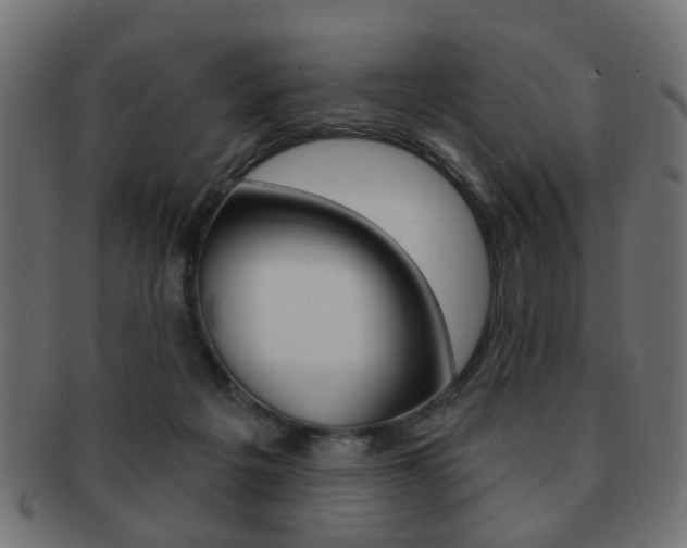 X0000091970217200709061138