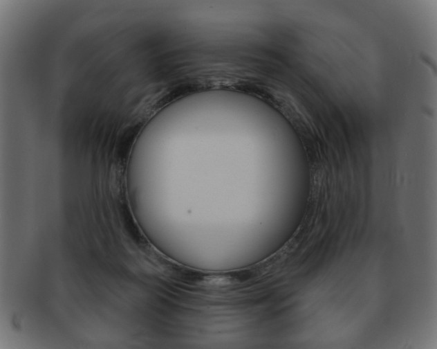 X0000091970218200709061138