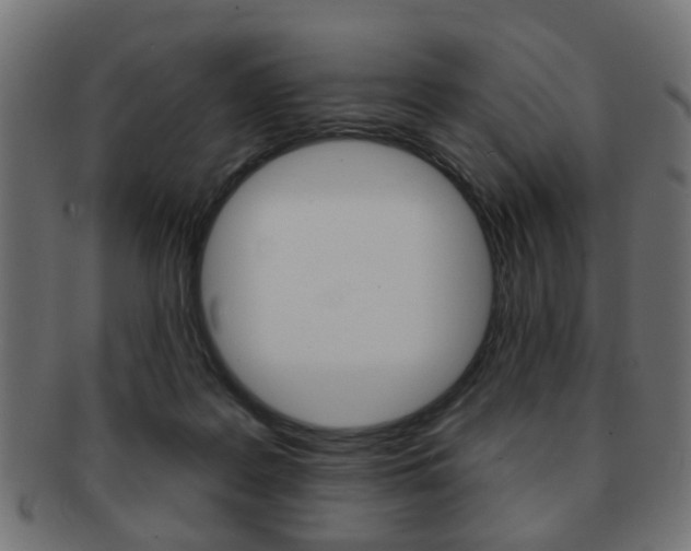 X0000091970219200709061138