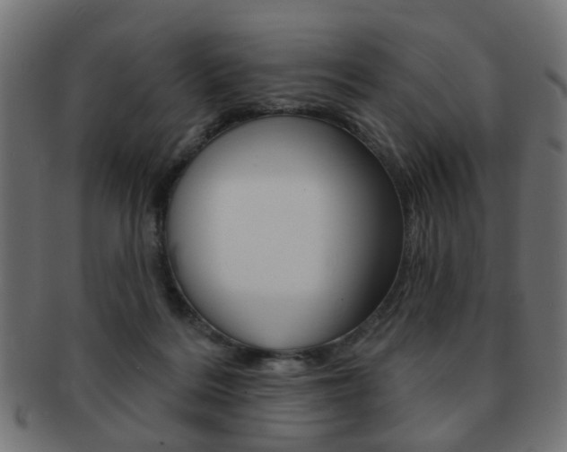 X0000091970220200709061138