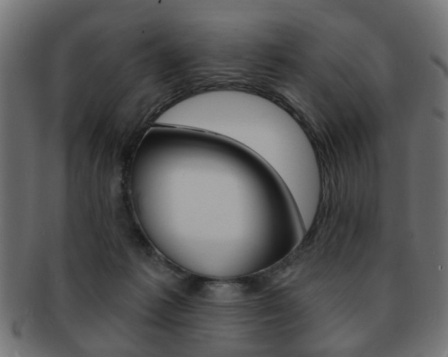 X0000091970221200709061138