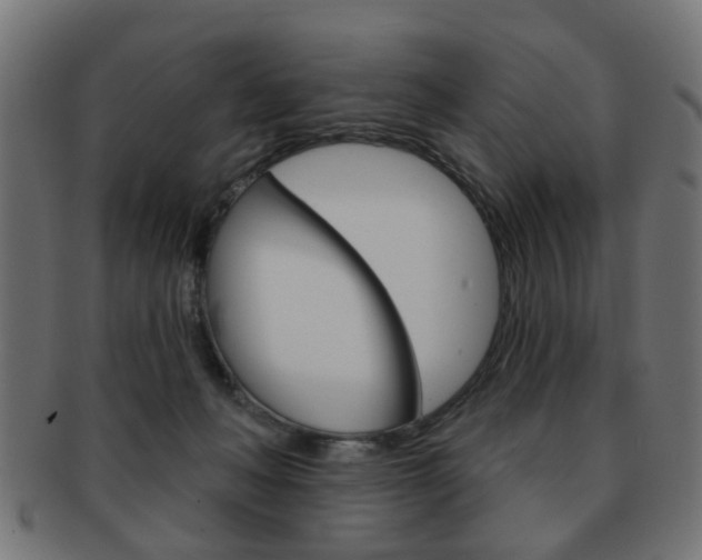 X0000091970222200709061138
