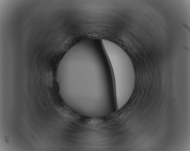X0000091970223200709061138