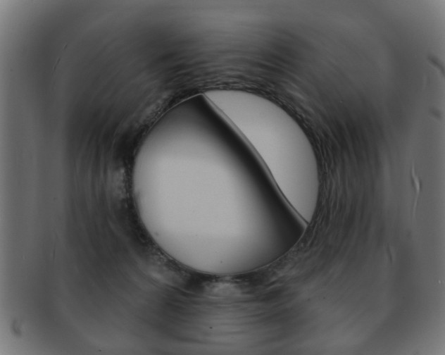 X0000091970224200709061138