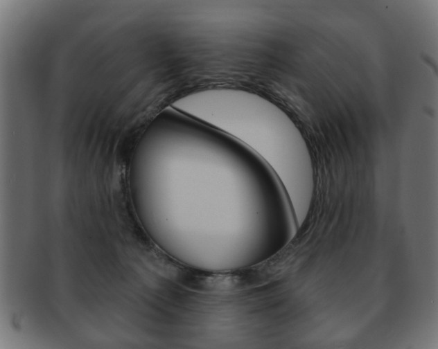 X0000091970225200709061138
