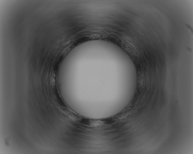 X0000091970226200709061138