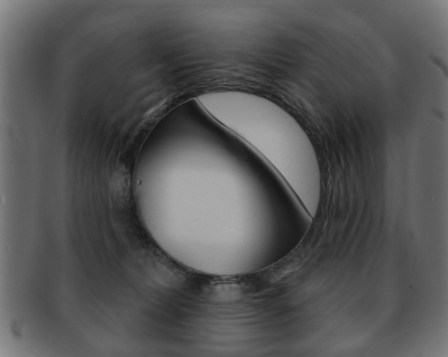 X0000091970228200709061138