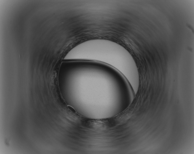X0000091970229200709061138