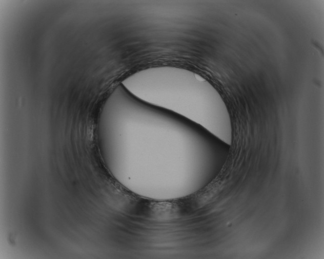 X0000091970230200709061138
