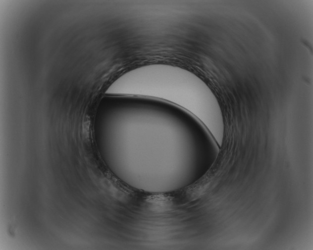 X0000091970231200709061138