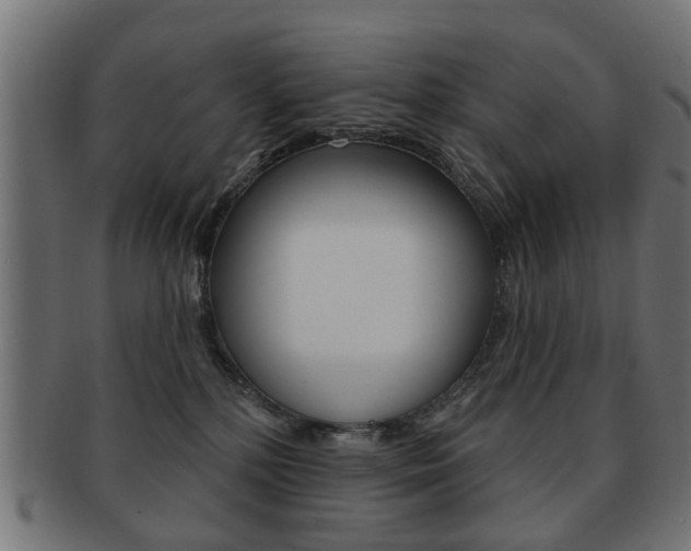 X0000091970232200709061138