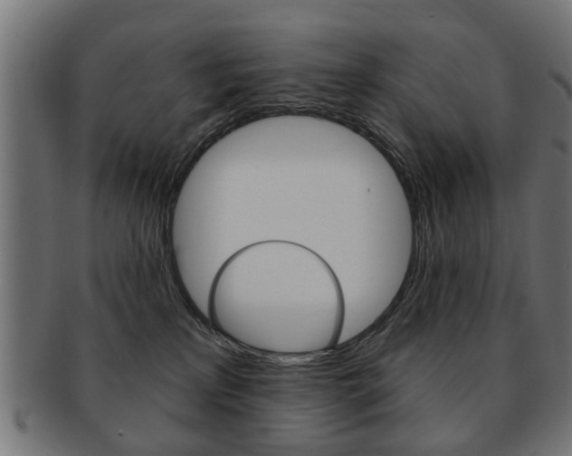 X0000091970233200709061138