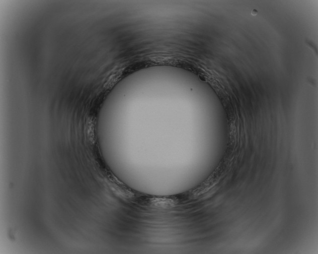 X0000091970234200709061138