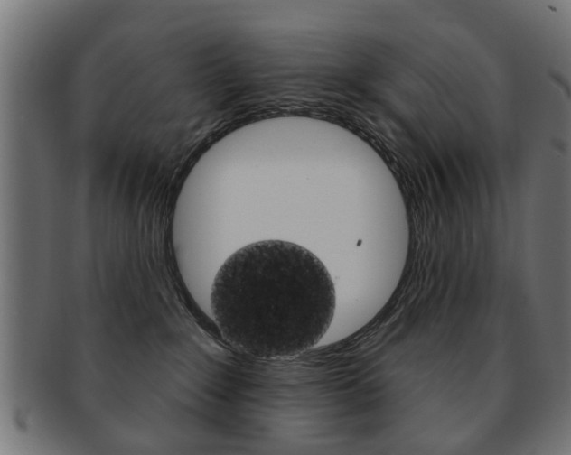 X0000091970235200709061138