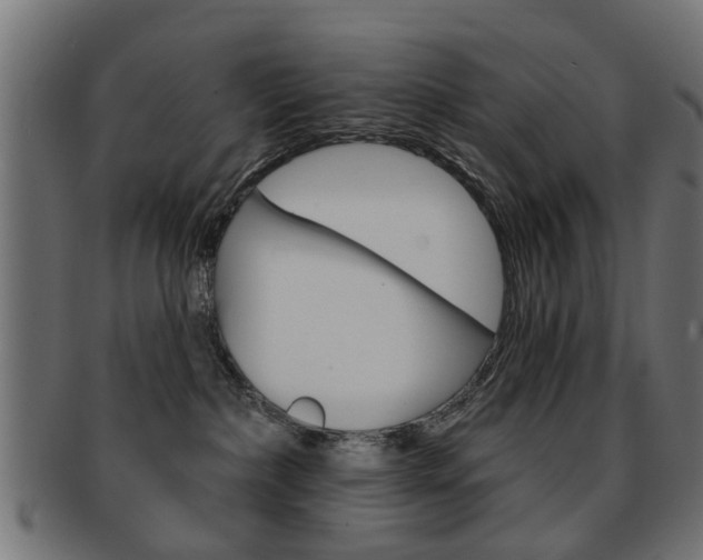 X0000091970236200709061138