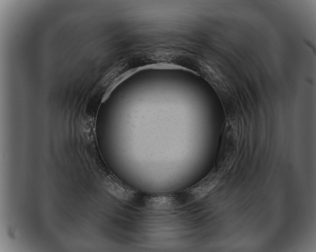 X0000091970237200709061138