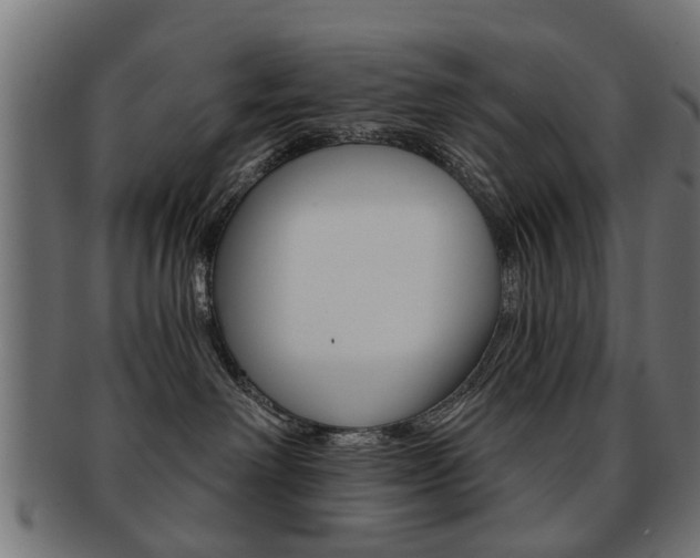 X0000091970238200709061138