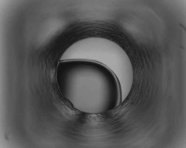 X0000091970239200709061138