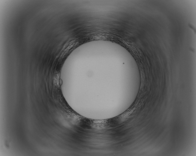 X0000091970240200709061138