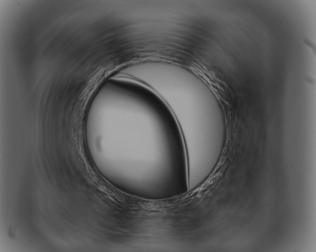X0000091970241200709061137