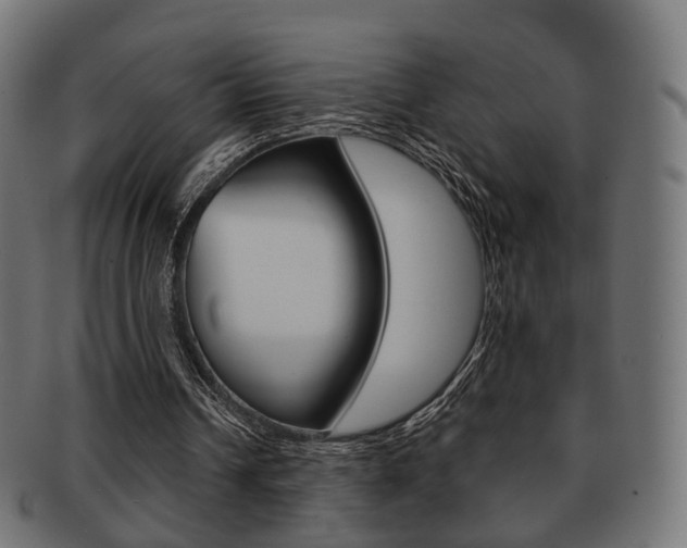 X0000091970242200709061137