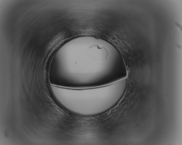 X0000091970243200709061137