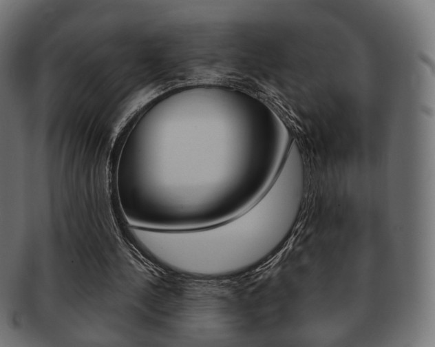 X0000091970244200709061137