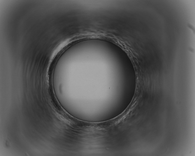 X0000091970246200709061137