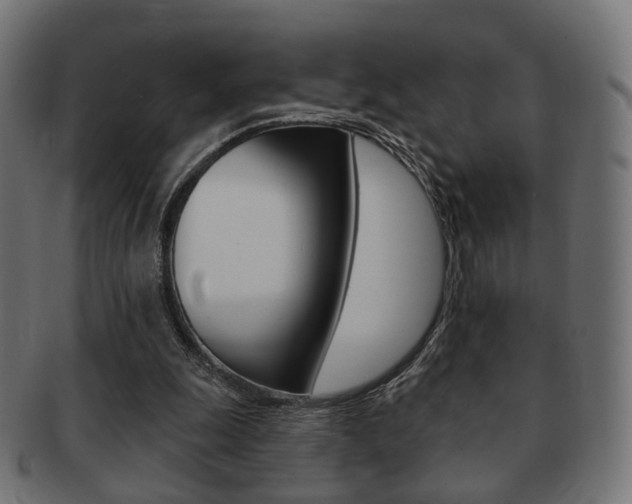 X0000091970247200709061137