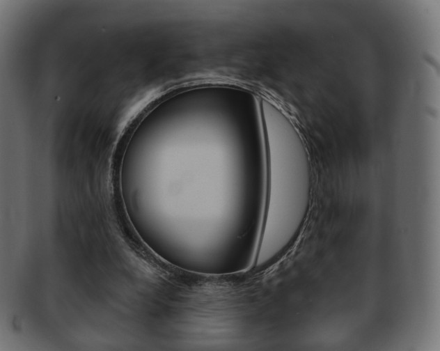 X0000091970248200709061137