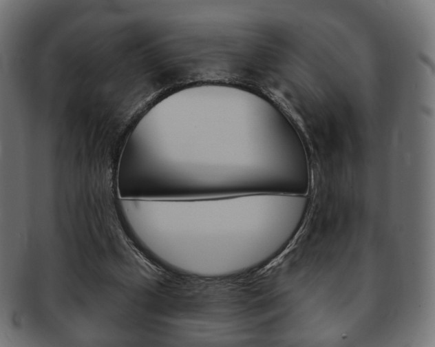 X0000091970249200709061137