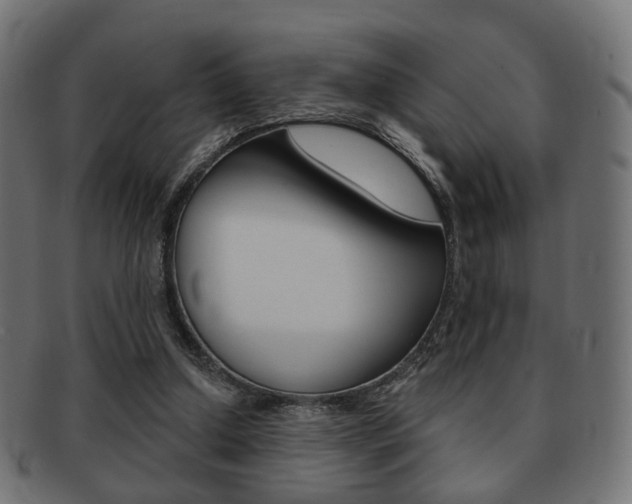 X0000091970250200709061138